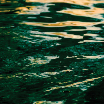 Jo Johnson – The Wave Ahead