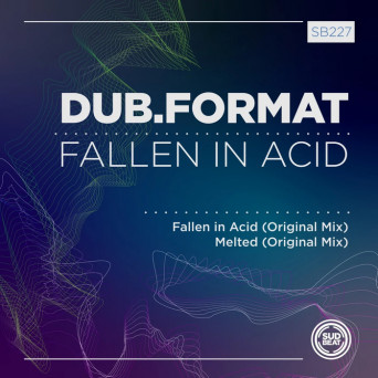 dub.format – Fallen in Acid [Hi-RES]