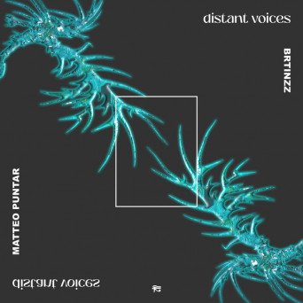 Brtinzz, Matteo Puntar – Distant Voices [Hi-RES]