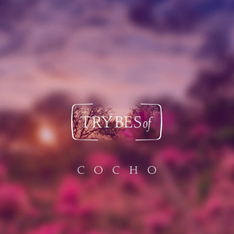 Cocho – D.A.N.