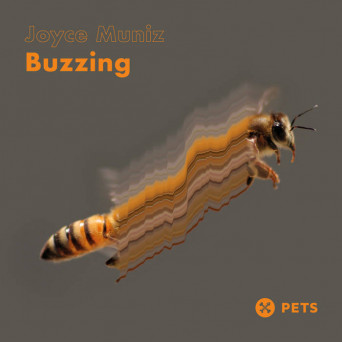 Joyce Muniz – Buzzing EP