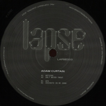 Adam Curtain – Noticed