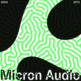6SISS – BOTS