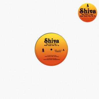 Shiva – What Does It Take / Never Gonna Give You Up