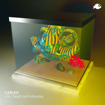 Carleo – Life, Death and Miracles