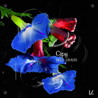 Cipy – Blue Grass [Hi-RES]