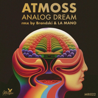 Atmoss (SP) – Analog Dream