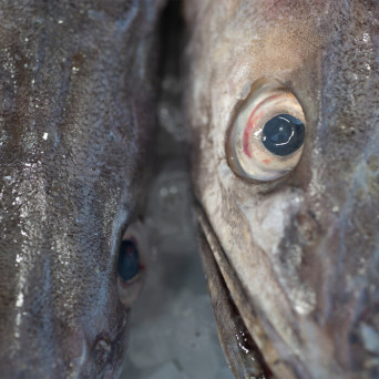 Paradise Circus – Assembling Personal Realities