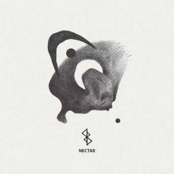 Cara., Farkas, Hidolas, Michal Basar, Glook & Narti – Nectar