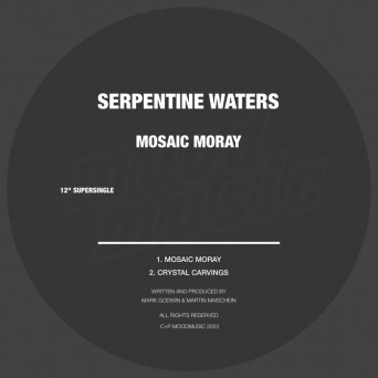 Serpentine Waters – Mosaic Moray