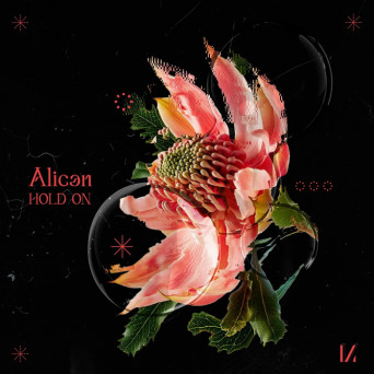 Alican – Hold On [Hi-RES]