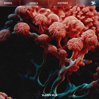 Bimol – ORIKA