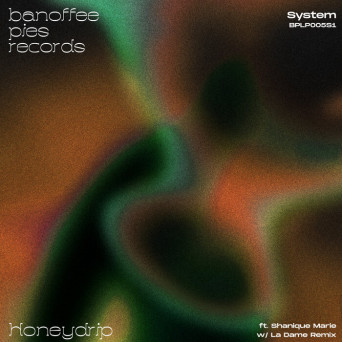 Honeydrip & La Dame feat. Shanique Marie – System