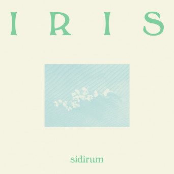 SidiRum – Iris