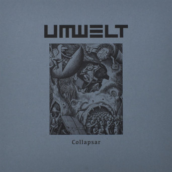 Umwelt – Collapsar