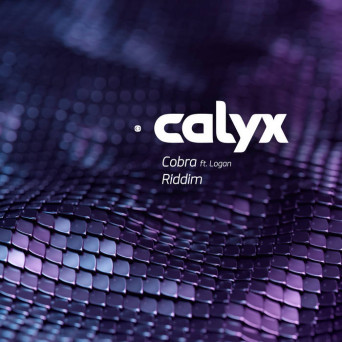 CALYX – Cobra / Riddim