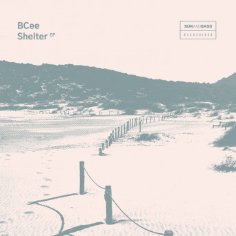 BCee – Shelter