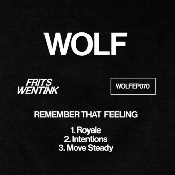 Frits Wentink – Remember That Feeling