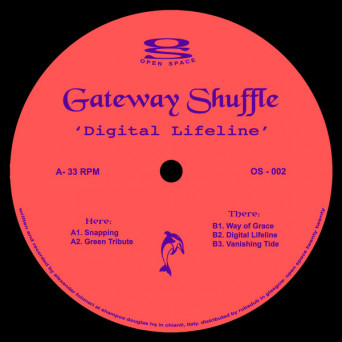 Gateway Shuffle – Digital Lifeline [VINYL]