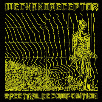 Mechanoreceptor – Spectral Decomposition