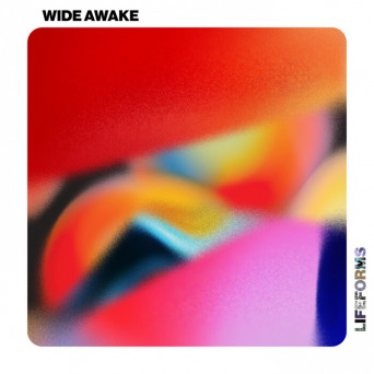 Tim Engelhardt & Jyll – Wide Awake