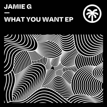 Jamie G – What You Want EP