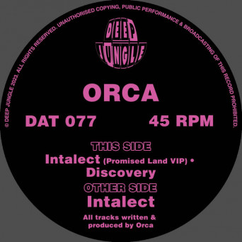 Orca – Intalect / Promised Land VIP / Discovery