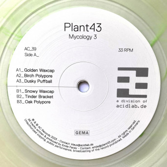 Plant43 – Mycology 3