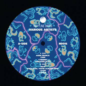 VA – Neptune Discs Vol. 8
