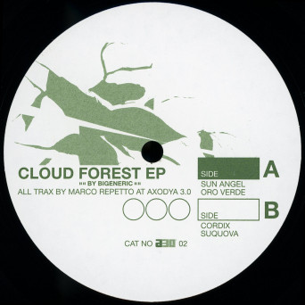 Bigeneric – Cloud Forest
