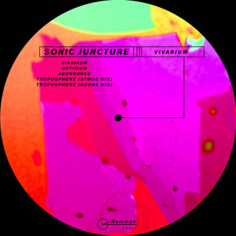 Sonic Juncture – Vivarium EP