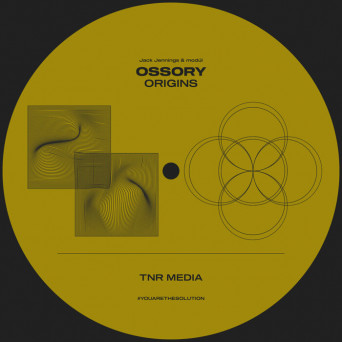 Ossory – Origins