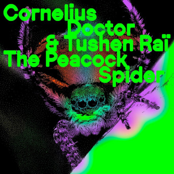 Cornelius Doctor – The Peacock Spider