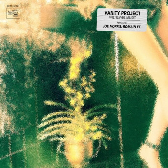 Vanity Project – Multilevel Music