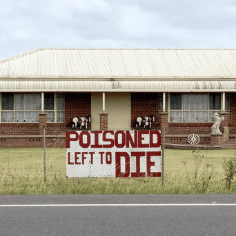 CRTB – Life In Exile II