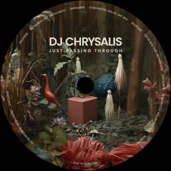 DJ Chrysalis – Just Passing Through