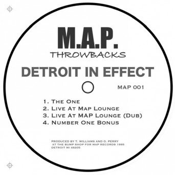 Detroit In Effect – The One