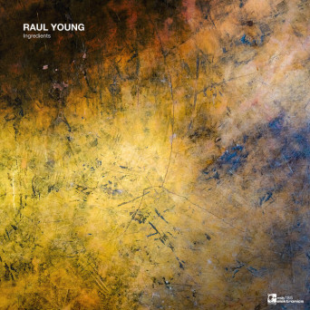 Raul Young – Ingredients EP [Hi-RES]