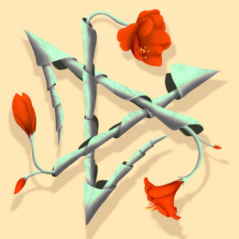 COLA REN – Forest Drone