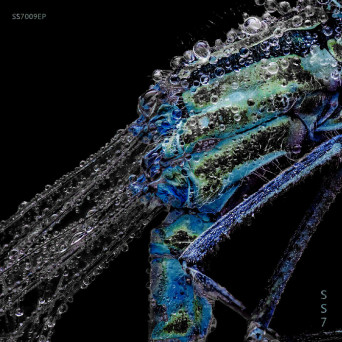 Endless Ritual – Dynamics
