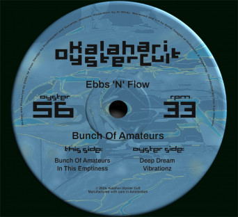 Ebbs N Flow – Bunch Of Amateurs