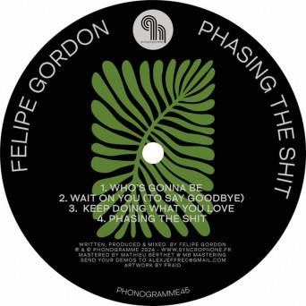 Felipe Gordon – Phasing the Shit