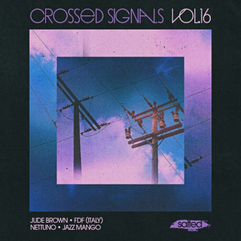 VA – Crossed Signals, Vol. 16