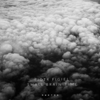Piotr Figiel – Small Brain Time