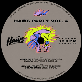 VA – Haŵs Party Vol. 4