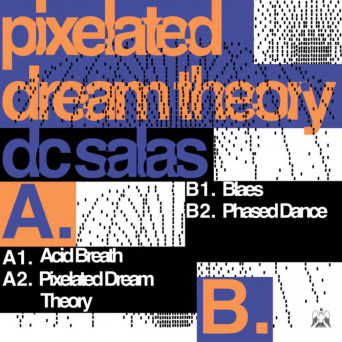 DC Salas – Pixelated Dream Theory