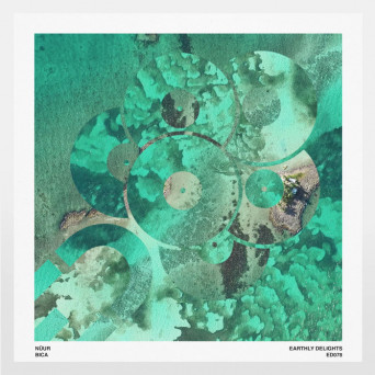 Nuur – Bica