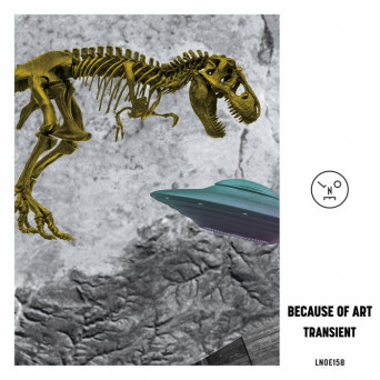 Because of Art – Transient