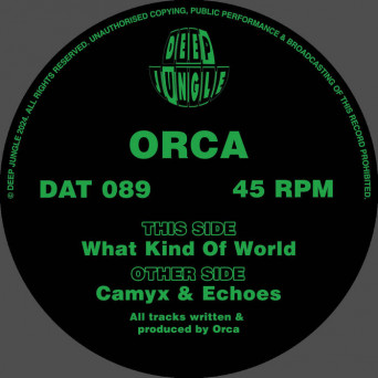 Orca – What Kind Of World / Camyx / Echoes