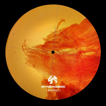 Gannein & FVKS – Kinetic Thoughts